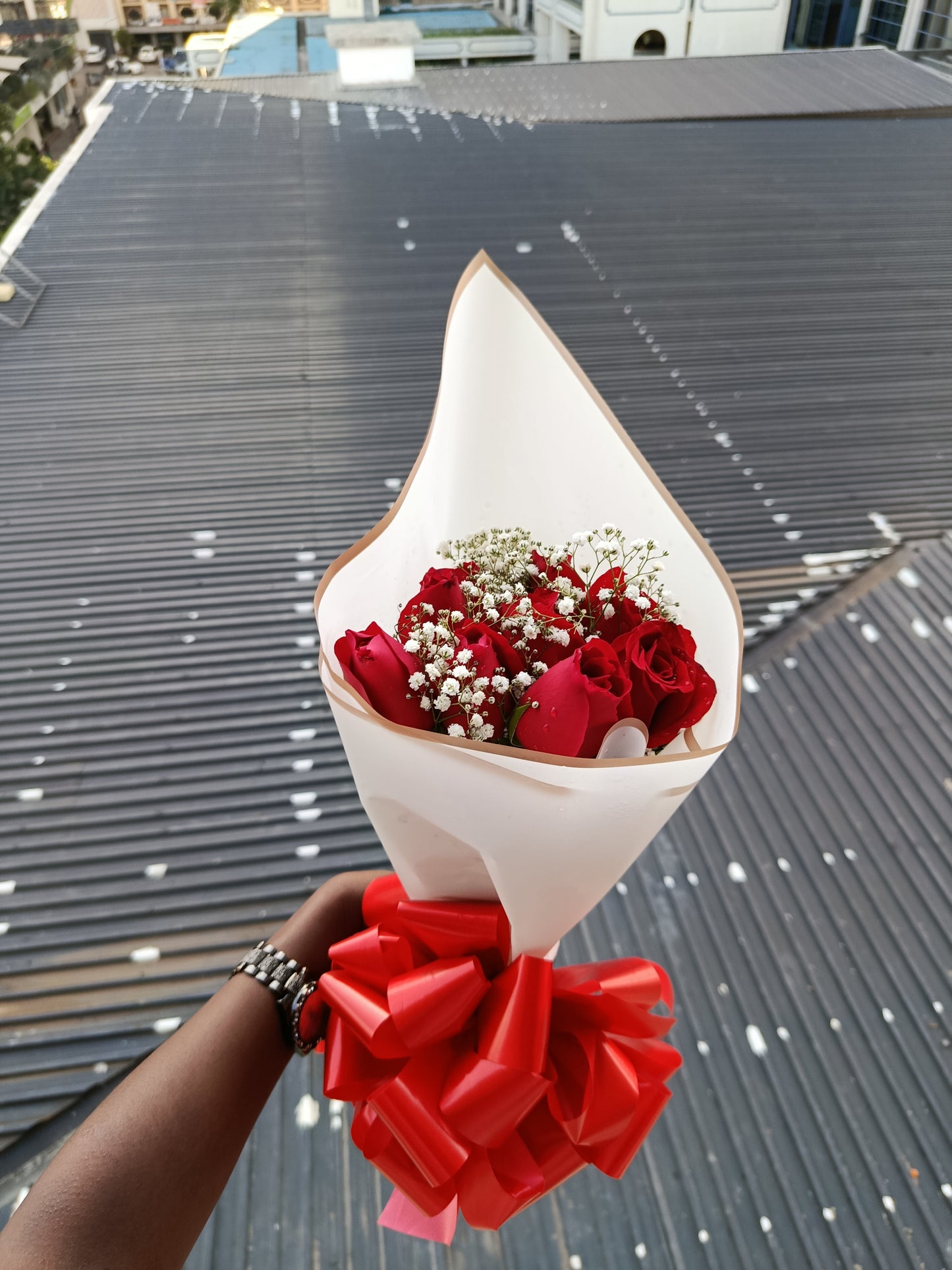 10 RED ROSES WITH BABY BREATH