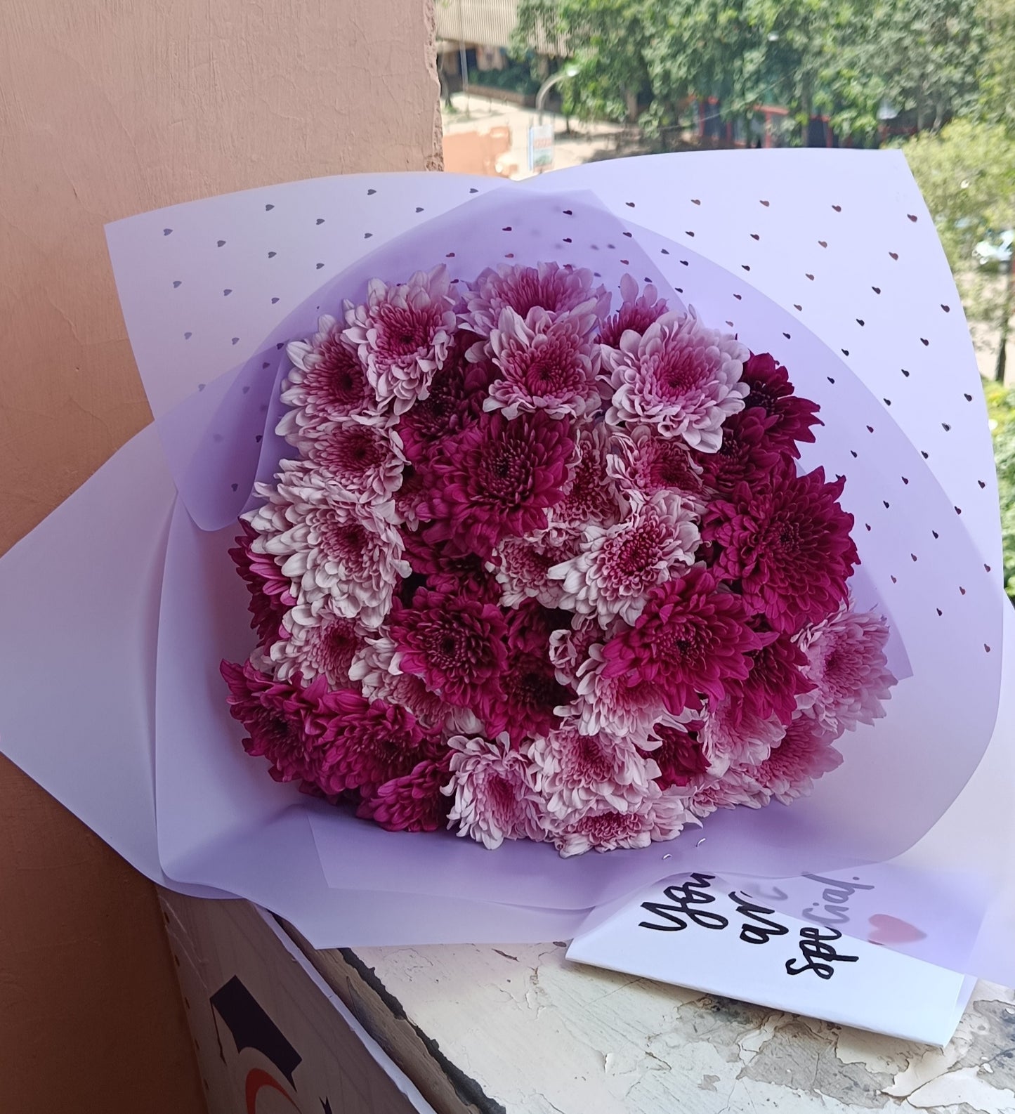 MOTHER'S FAVOURITE