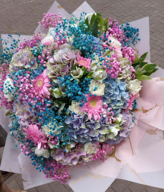 BEAUTIFUL & COLOURFUL