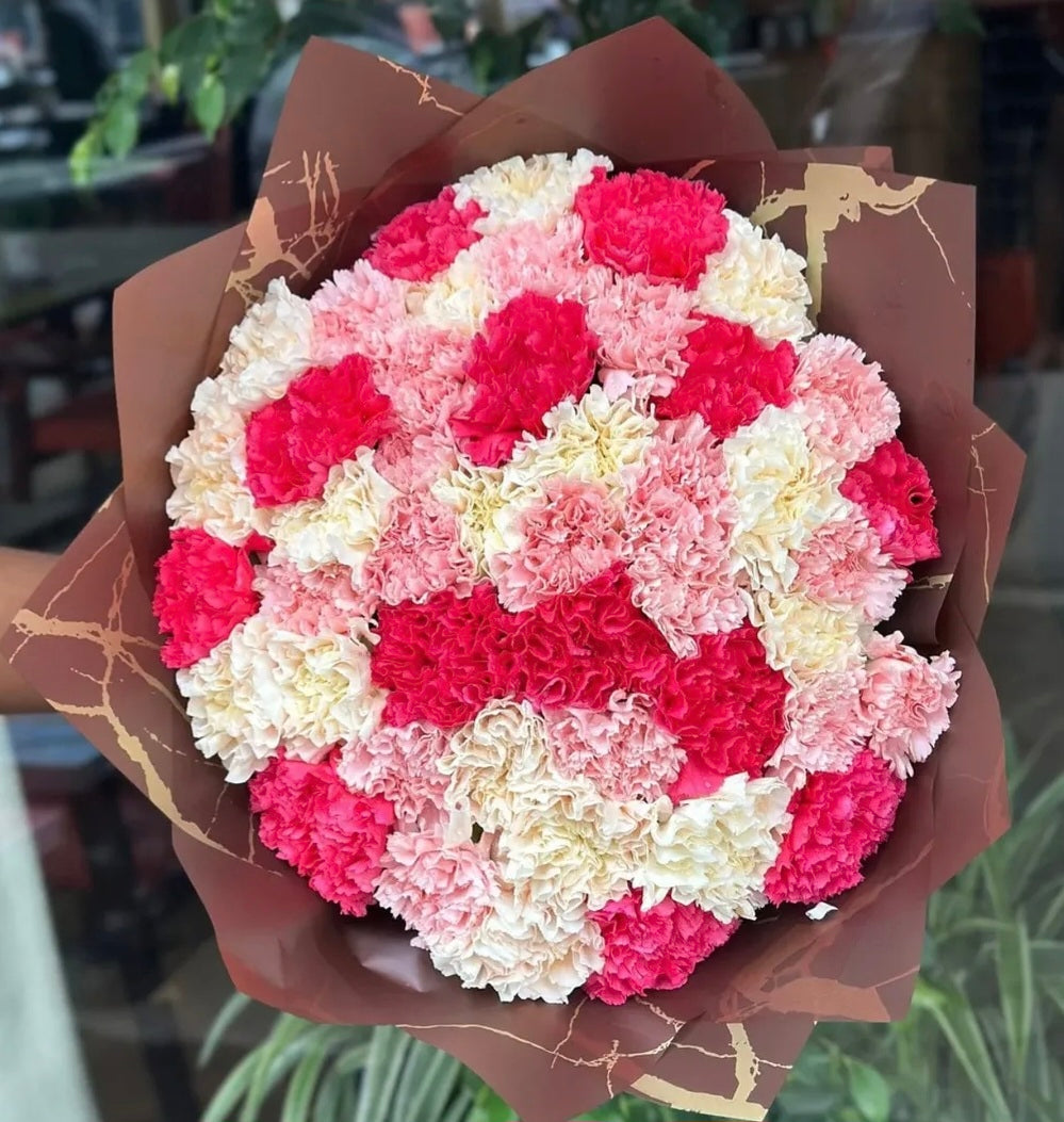 LOVELY CARNATIONS