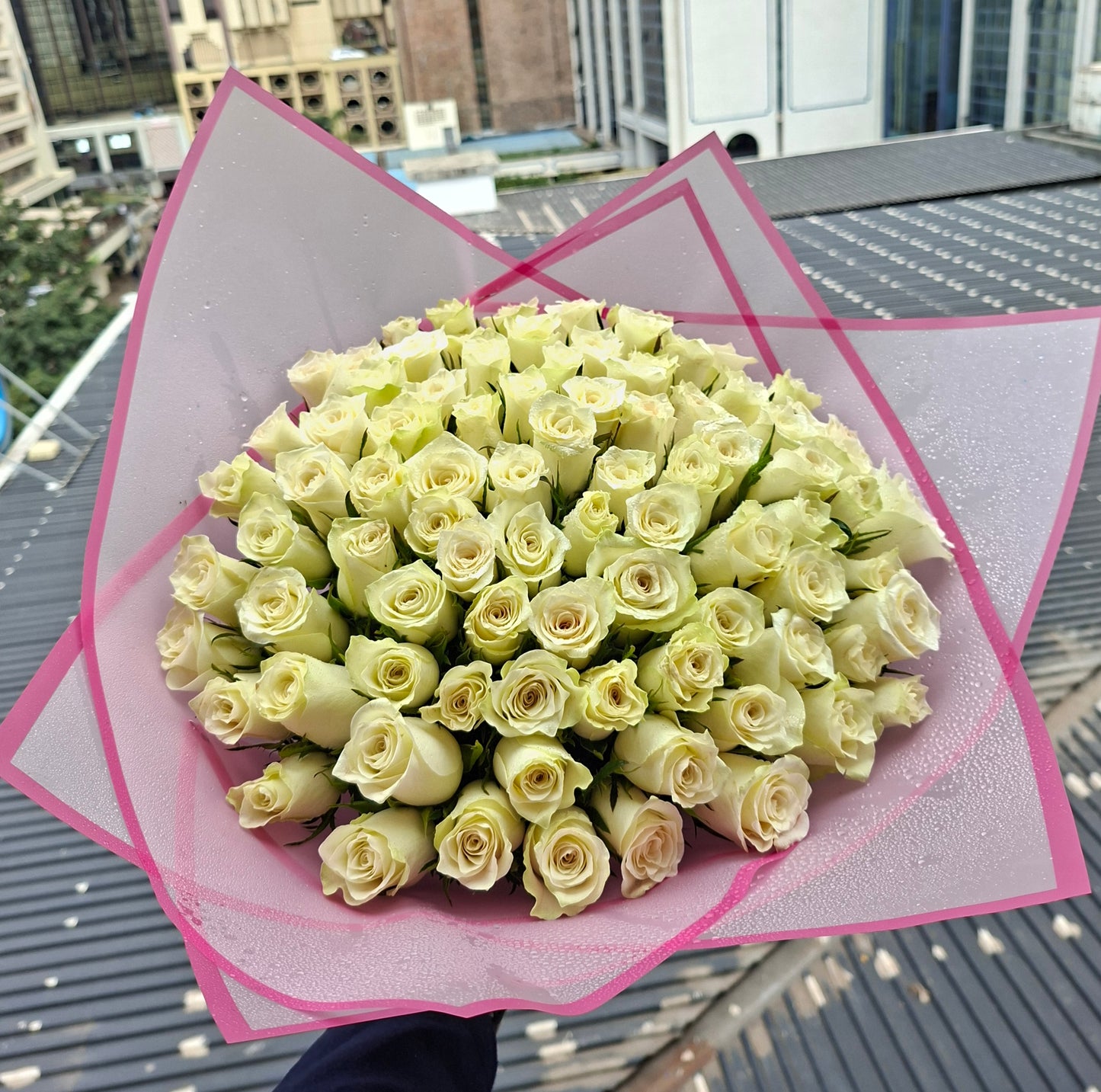 80 WHITE ROSES