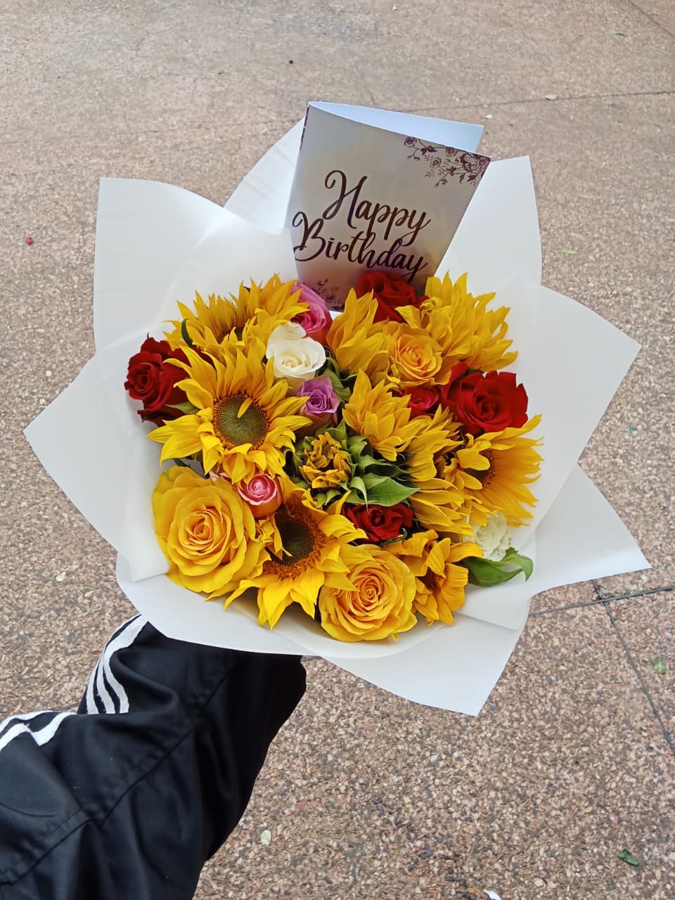 SUNFLOWER COMBO