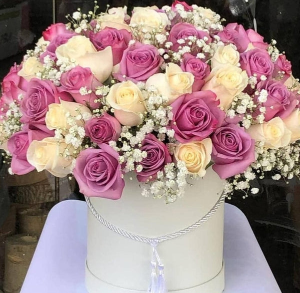 PURPLE & WHITE BLOOMS