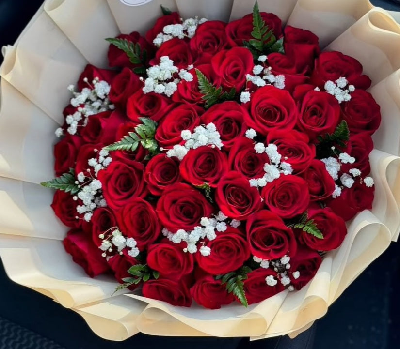 LUXY RED