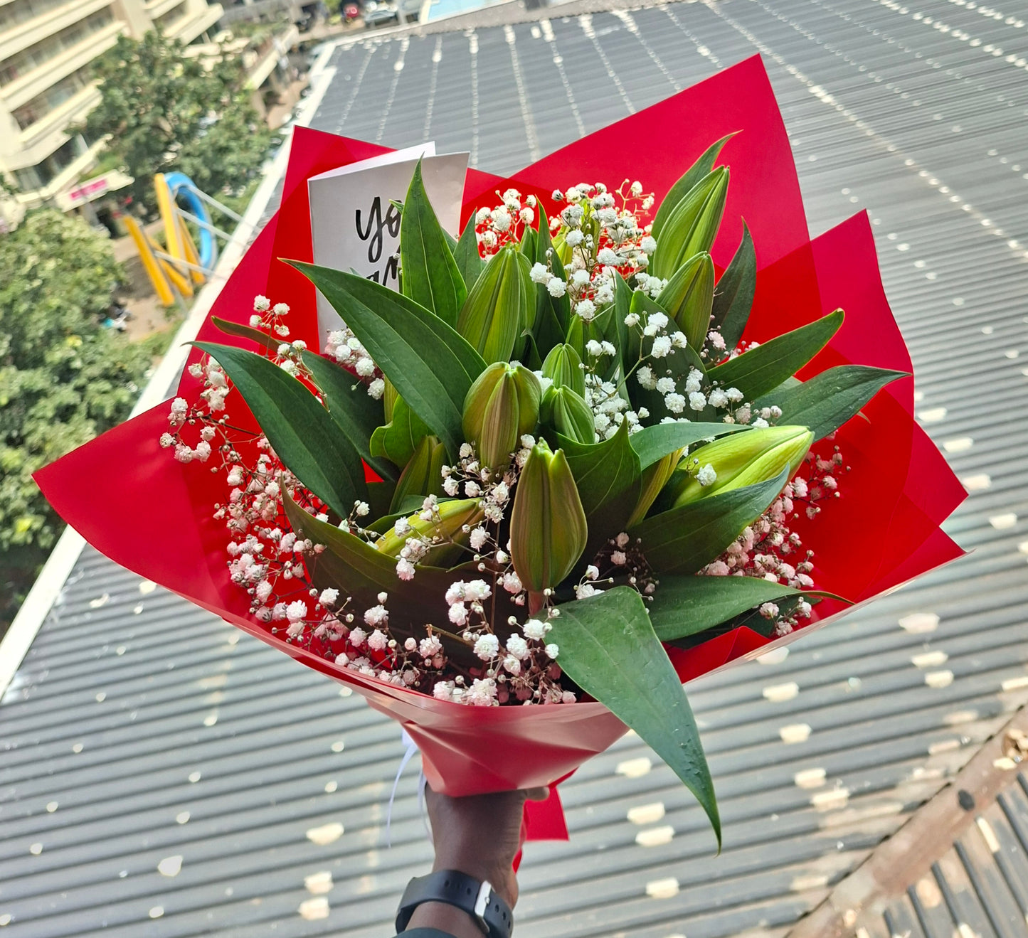 LUXIE LILIES