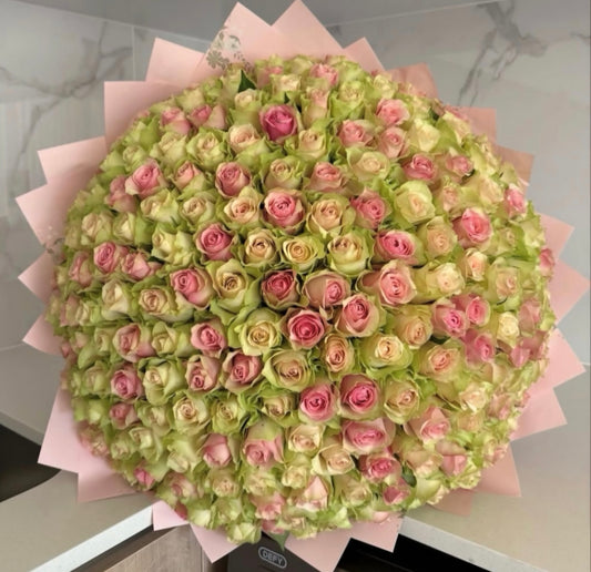 300 LOVELY ROSES