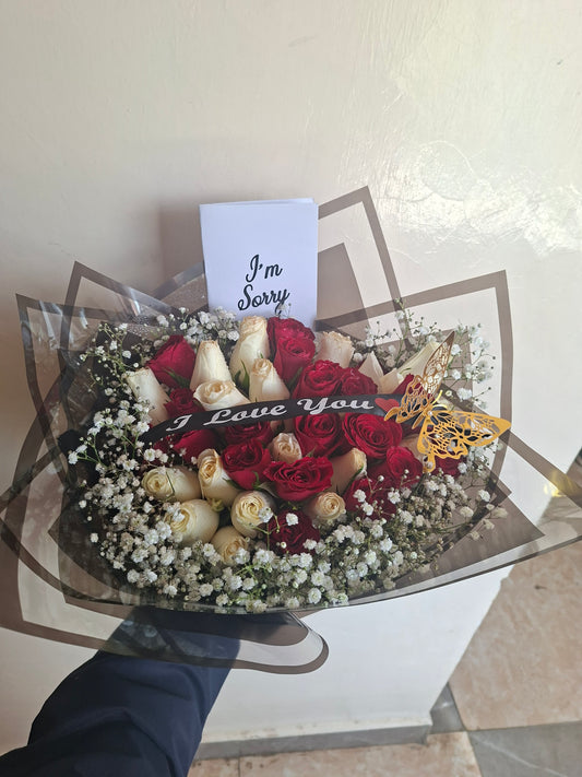 APOLOGY LOVE