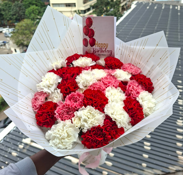BEAUTIFUL CARNATIONS