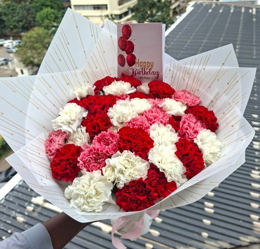 BEAUTIFUL CARNATIONS
