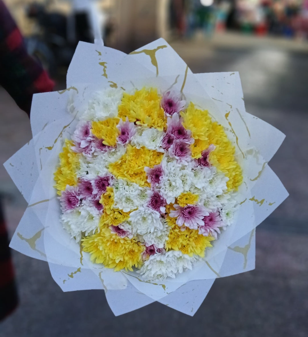 COLOURFUL CHRYSANTHEMUMS