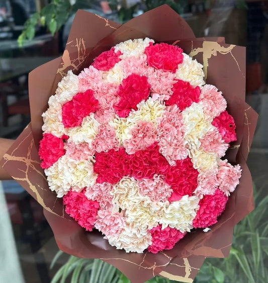 LOVELY CARNATIONS