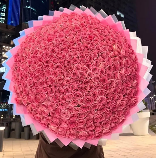 500PINK ROSES