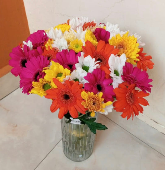 COLORFUL DAISIES