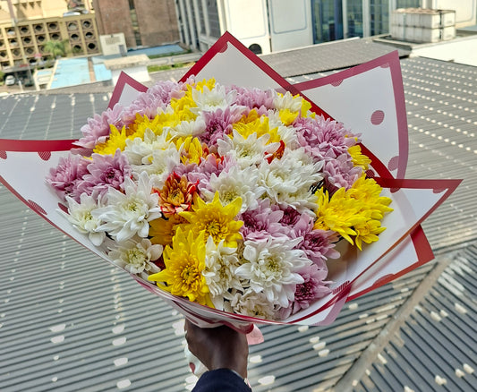 ROYALTY CHRYSANTHEMUMS