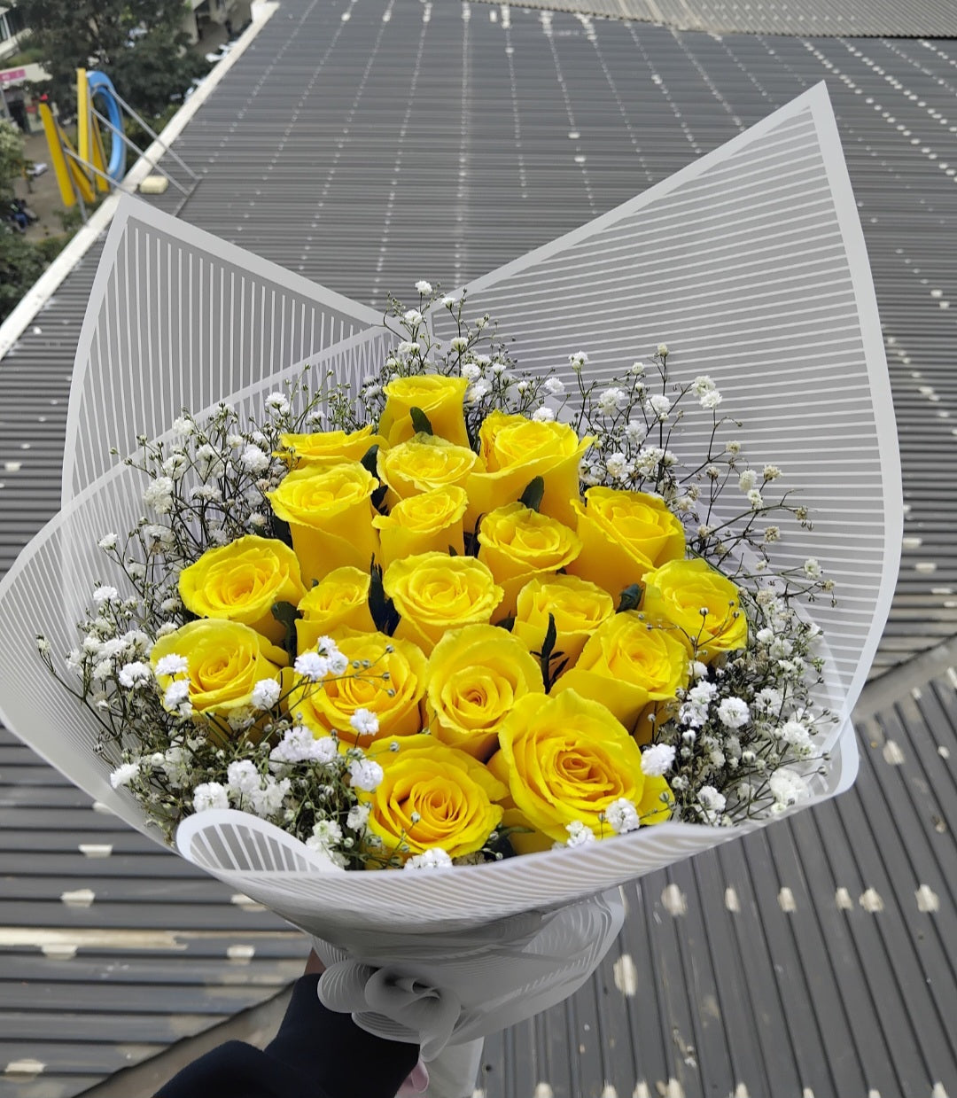 BEAUTIFUL YELLOW ROSES