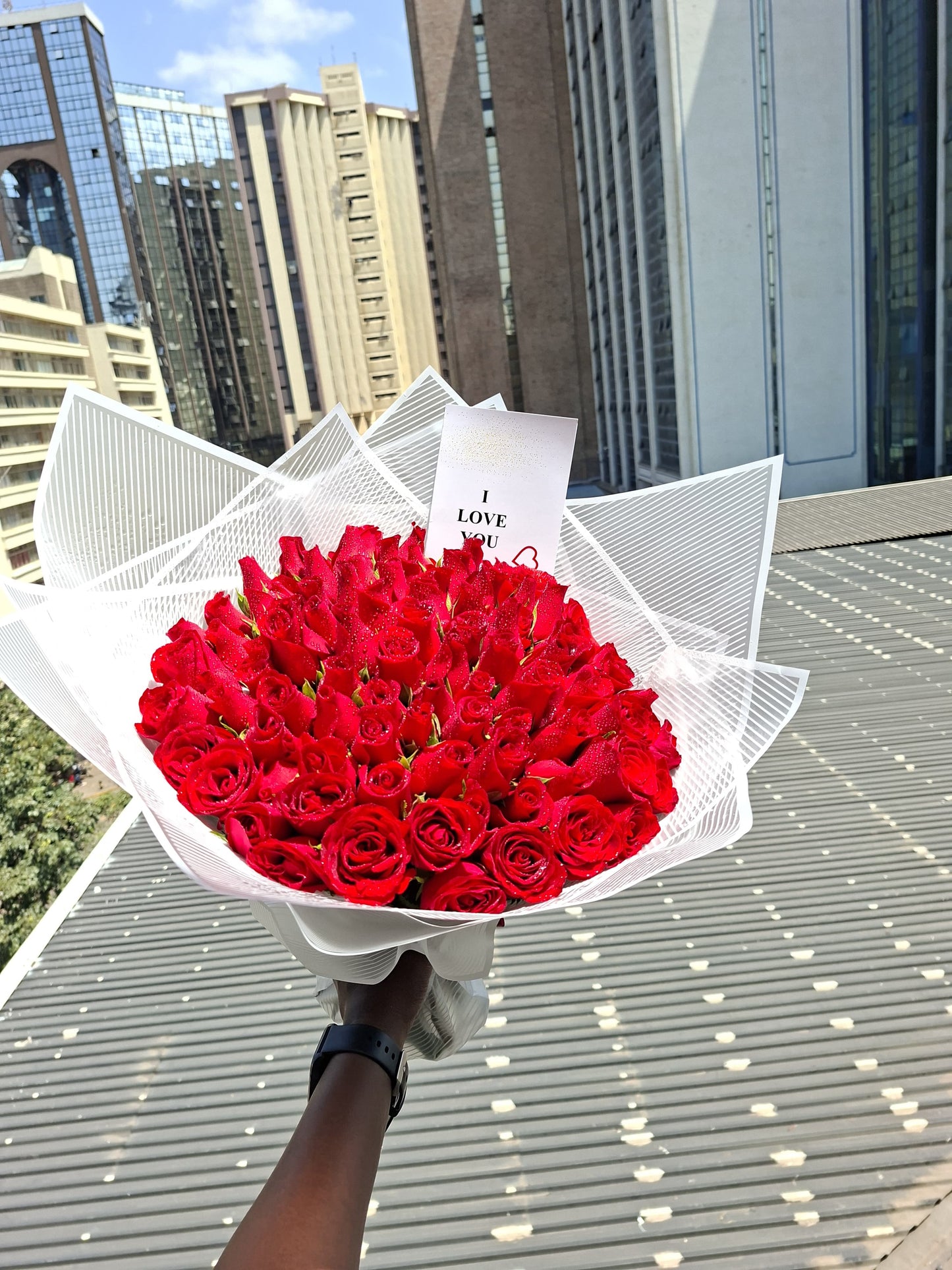 100 LOXXARRE ROSES